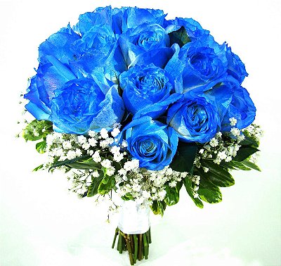 Buque de 12 Rosas Azuis