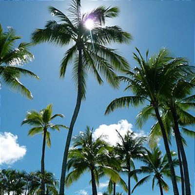 Mini Banner Esquerdo