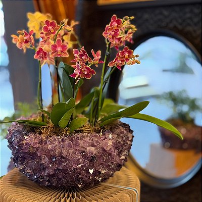 Cachepot em Pontas de Ametista