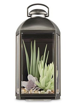 Succulent Lantern Wallflowers Fragrance Plug