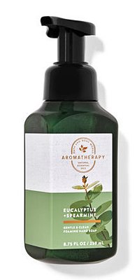 Aromatherapy Eucalyptus Spearmint Gentle Foaming Hand Soap