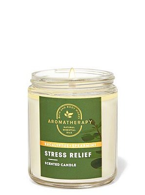 Aromatherapy Eucalyptus Spearmint Single Wick Candle