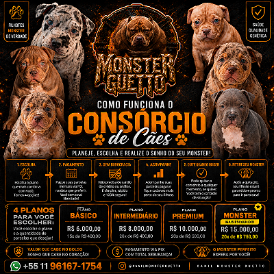 Consórcio
