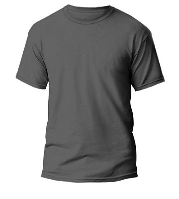Camiseta M/C cinza