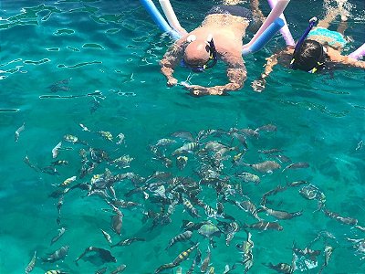 Escuna vivo meu propósito - para criança de 06 a 09 anos.