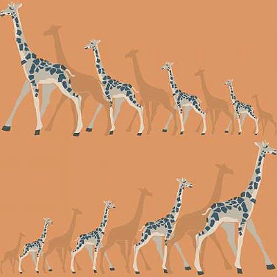 Papel de Parede Dwell Studio Baby Kids DW2363 Girafas