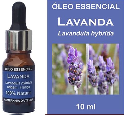 Óleo de Essência Lavanda Cia da Terra 30ml