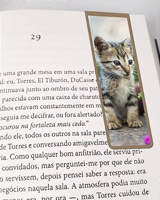 Marcador De Página Magnético Gato Manês - Pet Cat - MCAT15