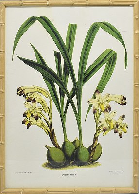 Quadro orquídea 10 com moldura faux bamboo