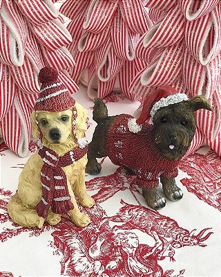 Dupla de cachorros de Natal