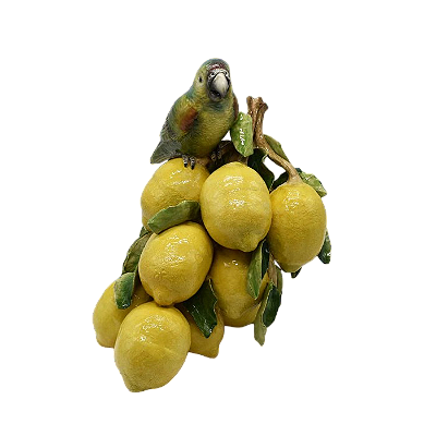 Tronco de limão siciliano com papagaio