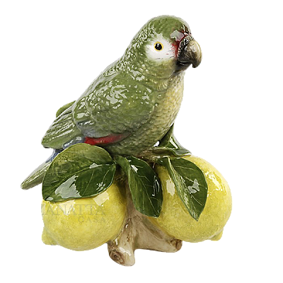 Papagaio no tronco com três limões
