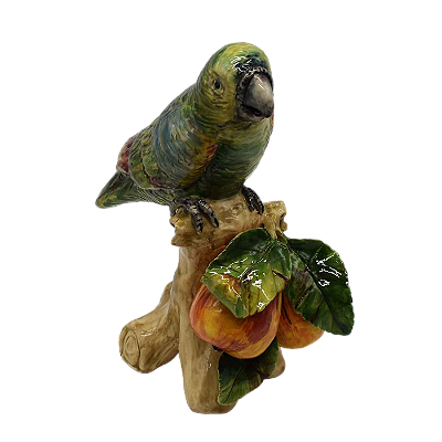 Papagaio no tronco com duas peras