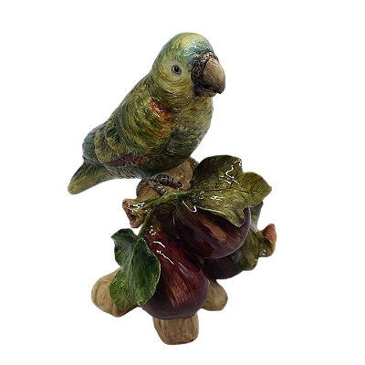Papagaio no tronco com figos