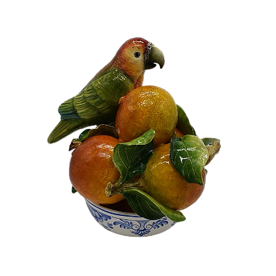 Fruteira P de laranja com papagaio