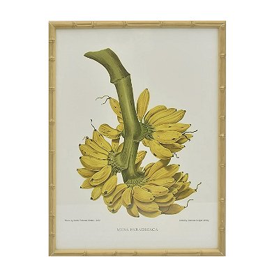 Quadro gravura penca de banana