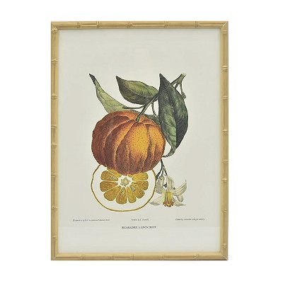 Quadro gravura de cidra