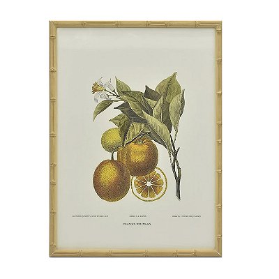 Quadro gravura de laranjas