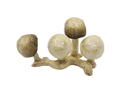 Pré-venda Enfeite de tronco de cogumelos brancos Zanatta Casa