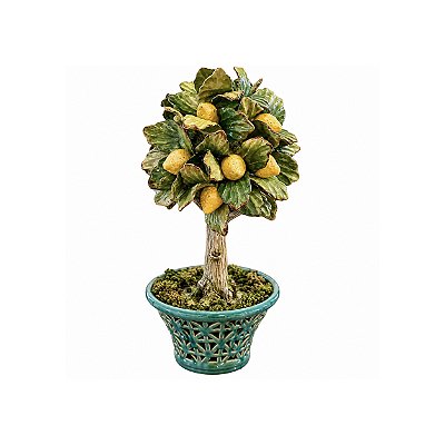 Topiaria limão siciliano com vaso verde vazado