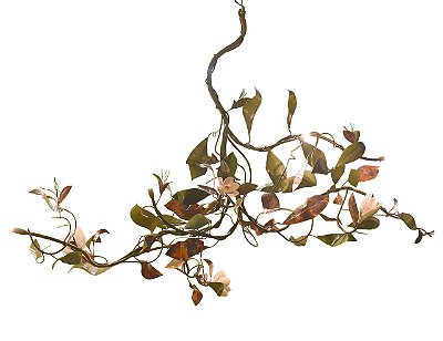 Lustre de cobre Magnolia