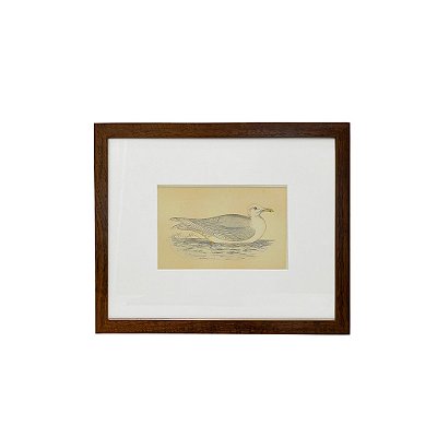 Quadro desenho de pato bico amarelo