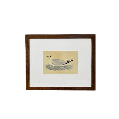 Quadro desenho de pato