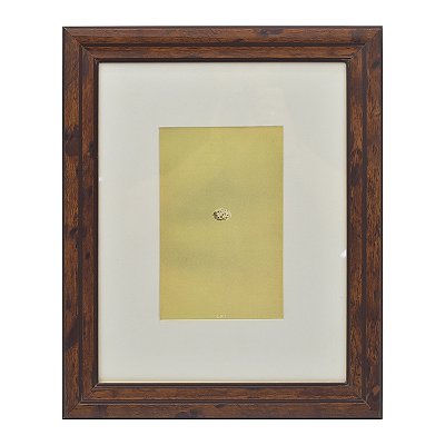 Quadro ovo