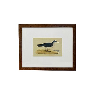 Quadro desenho de ave preta