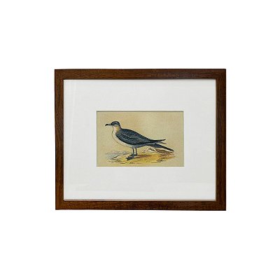 Quadro desenho de ave preta com pescoço amarelo