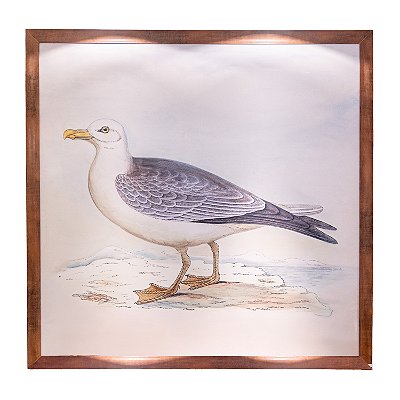 Quadro gaivota 1,5m x 1,5m