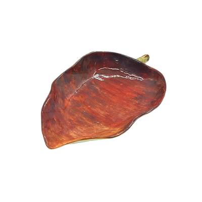 Petisqueira pimenta
