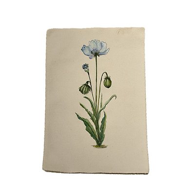 Tela pintada à mão perfecta alba