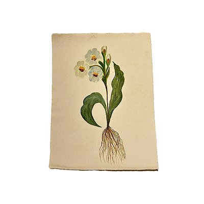 Tela pintada à mão flores brancas com raízes