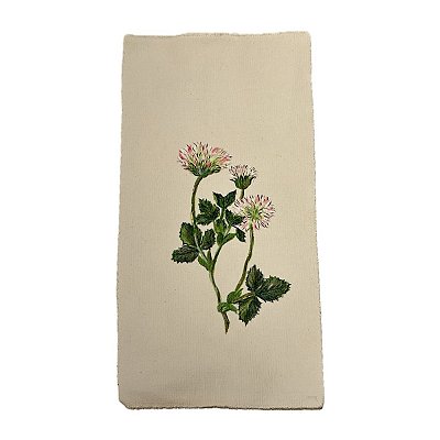 Tela pintada à mão flores rosas e brancas N7