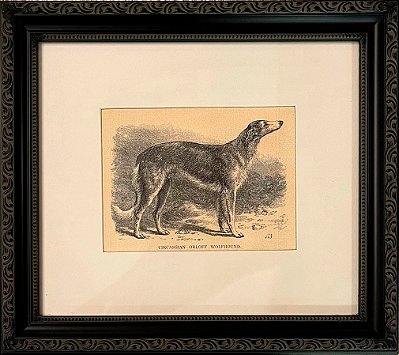 Quadro gravura antiga com moldura preta cachorro Circassian Orloff Wolfhound