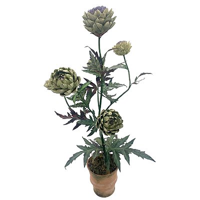 Bonsai alcachofra