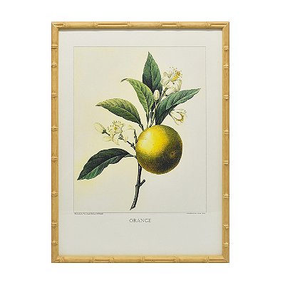 Quadro gravura orange