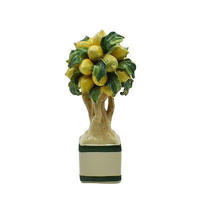 Mini bonsai de limões sicilianos