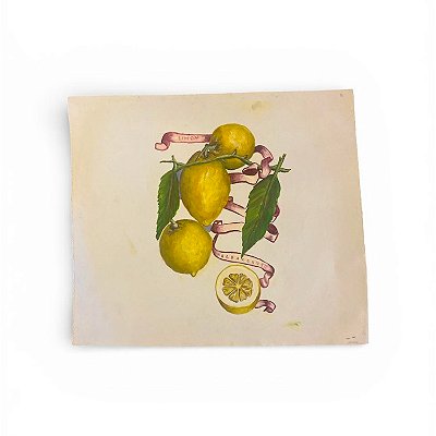 Mini lona com pintura de 3 limões e uma metade e fita vermelha