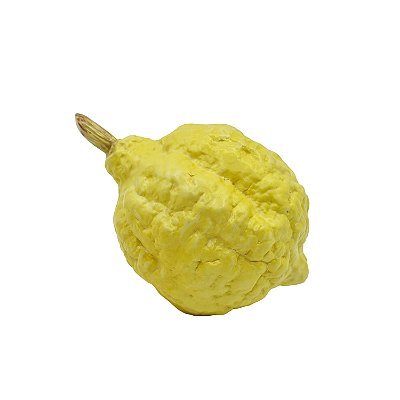 Enfeite de limão siciliano enrugado