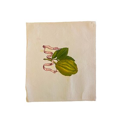 Mini lona com pintura de limão grande esverdeado e fita vermelha