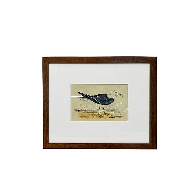Quadro desenho de ave preta e branca com bico amarelo (moldura fina)