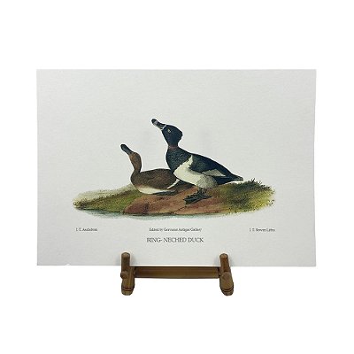 Gravura patos selvagens 2