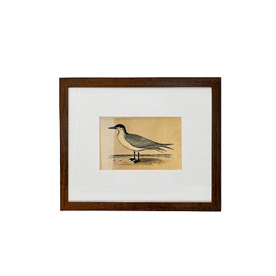 Quadro desenho de ave cinza e branca com bico preto