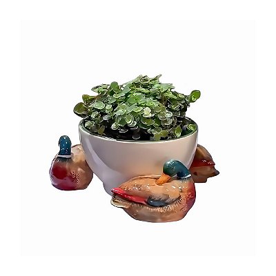 Bowl com apliques de patos