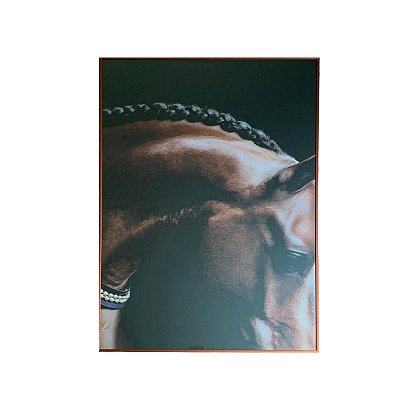 Quadro cavalo perfil fundo escuro (60x90cm)
