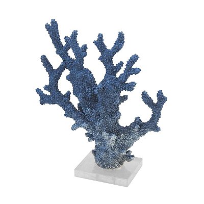 Coral Azul Degradé