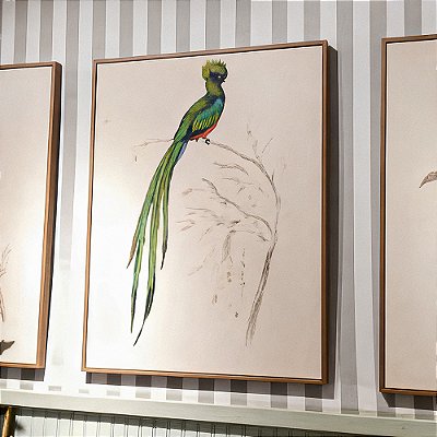 Quadro pintura a óleo pássaro cauda longa verde