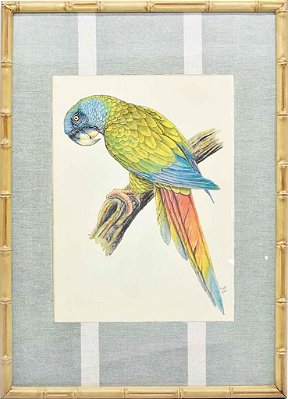 Quadro gravura pássaro com moldura de faux bamboo fundo listra 10